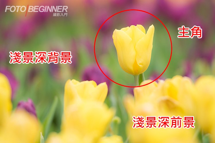 ���̹���ѧ���ƽ� 3 Ԫ�������ĳ���Ħ�ǵ���Ƭ
