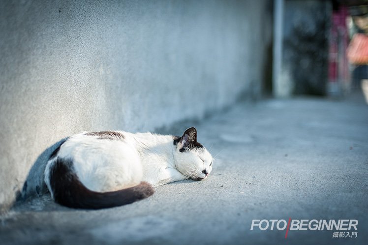 ���̹���ѧ���ƽ� 3 Ԫ�������ĳ���Ħ�ǵ���Ƭ