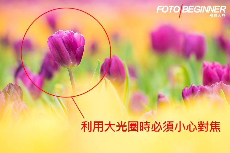 6 ���ĳ�������������Ƭ�ķ���