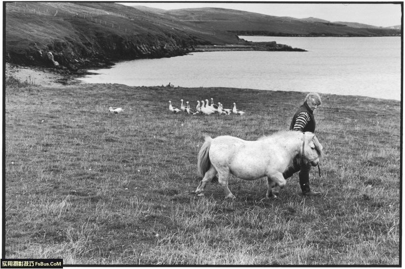 ����޽�Elliott Erwitt��12�������ĵ�