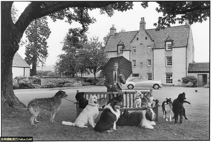 ����޽�Elliott Erwitt��12�������ĵ�