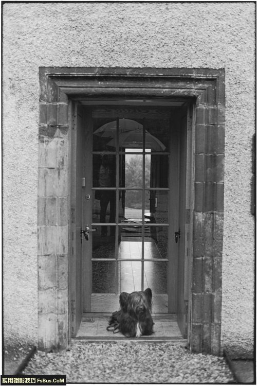����޽�Elliott Erwitt��12�������ĵ�