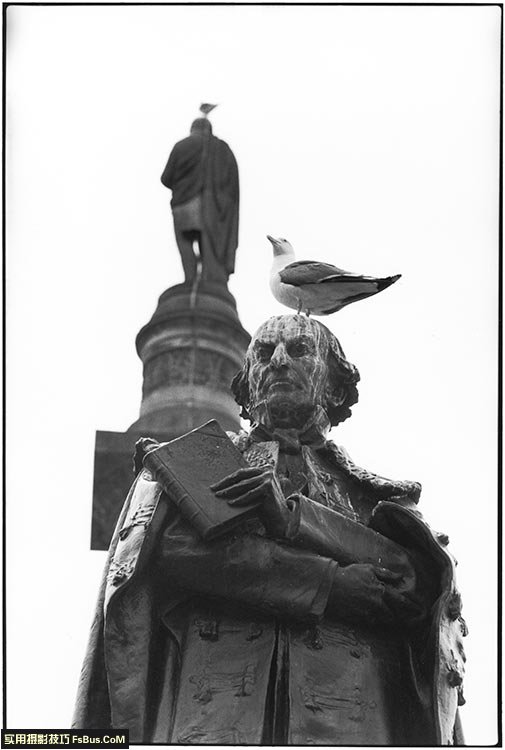 ����޽�Elliott Erwitt��12�������ĵ�