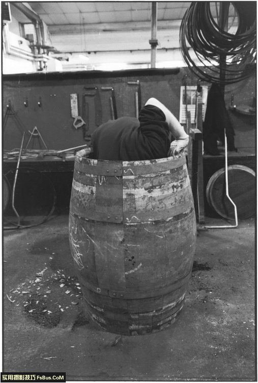 ����޽�Elliott Erwitt��12�������ĵ�