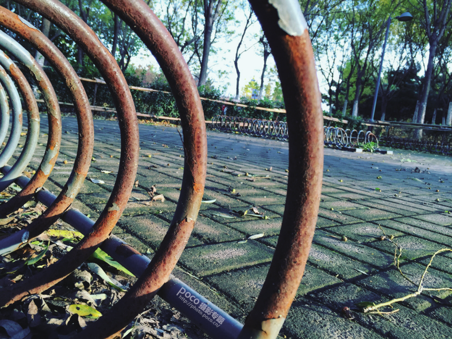 �ֻ�����ĳ����˳��޽о�����Ʒ�Ա�����