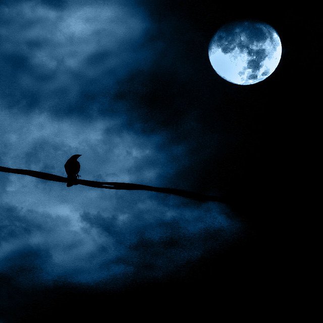 ���ֱ�ѧҹ����Ӱ��Ҫ�ٳɷ�
