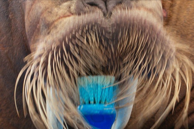 �����ֱ��������߽���