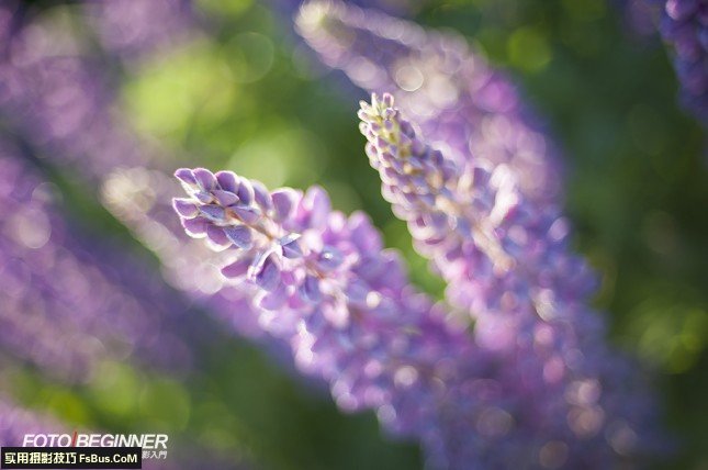 ���ֲ�֪�����Ӱʱ��ʵ�ý���