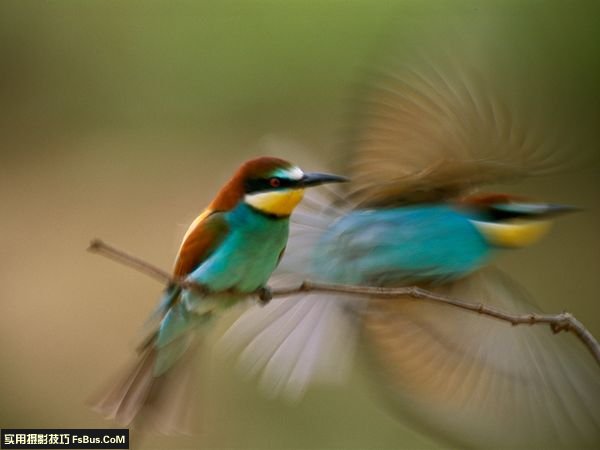 ���ҵ�������ʦ�������������ع�ʱ��
