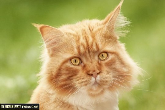 �����ӽ������ĺó�������