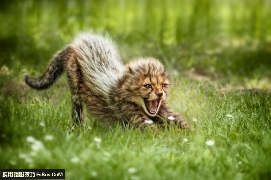 �����ӽ������ĺó�������