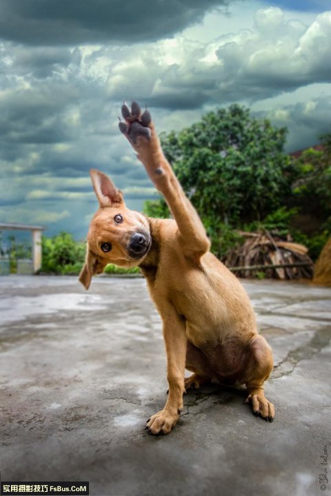 �����ӽ������ĺó�������