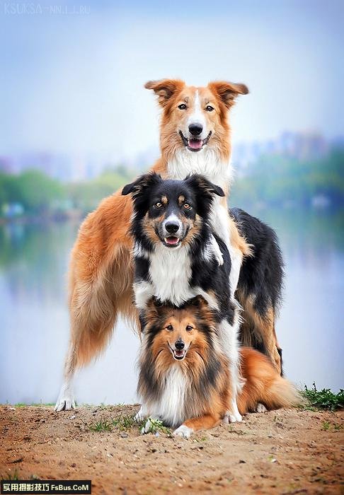 �����ӽ������ĺó�������