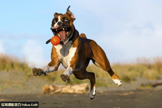�����ӽ������ĺó�������