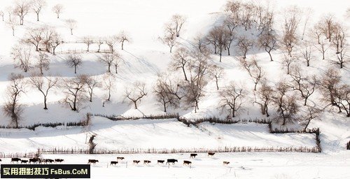 教你怎样在雪天拍风光 教你怎样在雪天拍风光