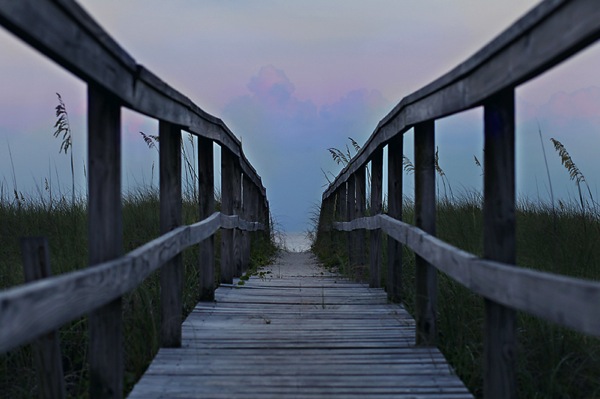 �����㷨������������