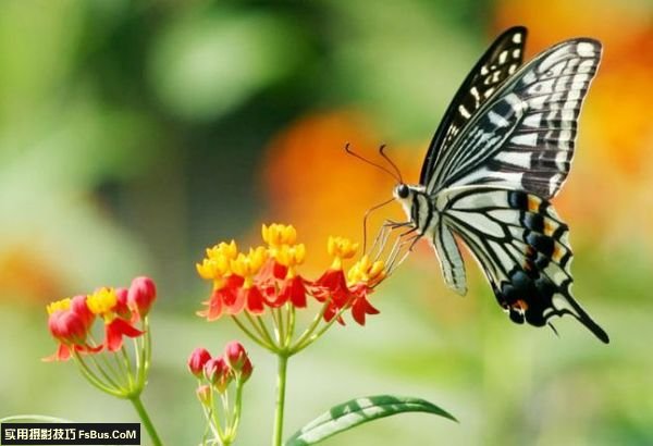 ������Ӱ�����ߴ�ע������