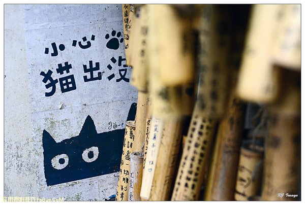 拍摄攻略:相机与漫步拍摄 拍摄攻略:相机与漫步拍摄