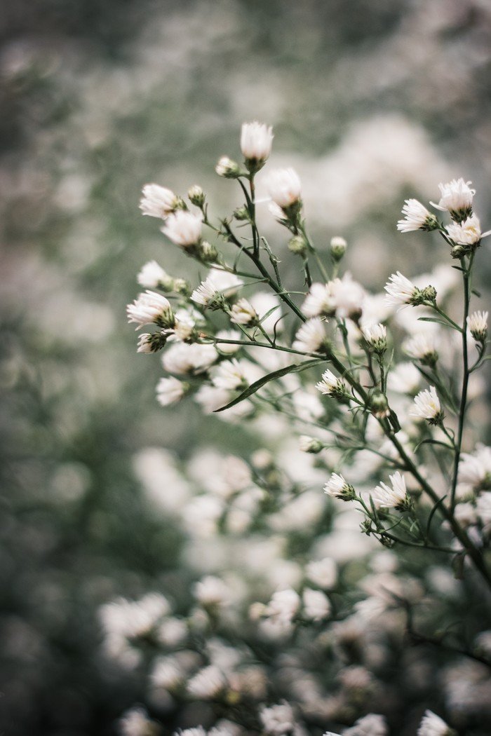 50mm�������������˼ά��Ȼ����