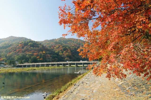 枫叶摄影器材准备与光线巧用 枫叶摄影器材准备与光线巧用